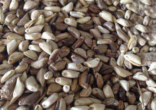 1627518990467130.jpg image.jpg