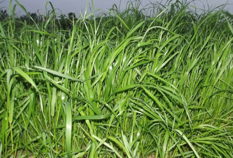 1627568240979573.jpg 賣賣.jpg