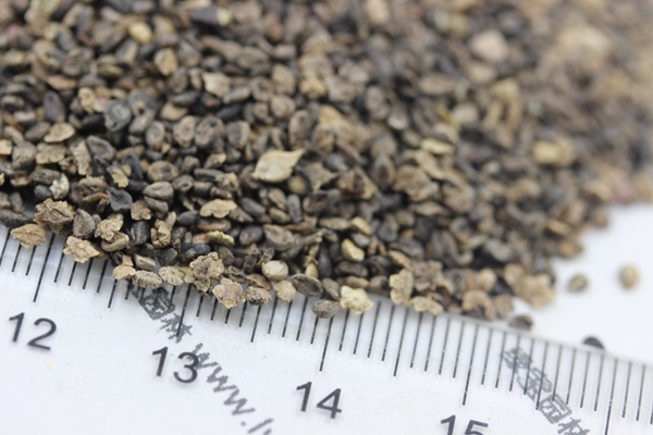 1627613555729493.jpg image.jpg