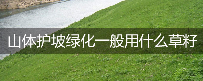 山體護坡綠化一般用什么草籽 山體護坡綠化一般用什么草籽