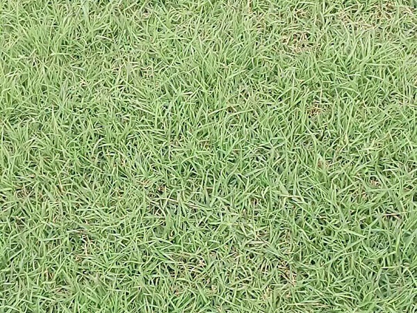 1627698312903840.jpg image.jpg