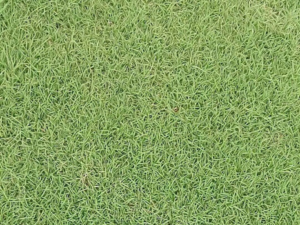 1627698323225178.jpg image.jpg