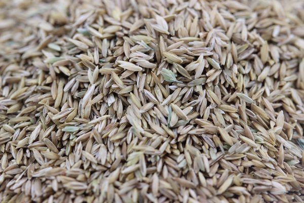 1627699864465764.jpg image.jpg