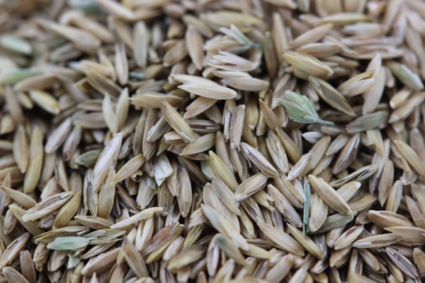 1627699869531008.jpg image.jpg