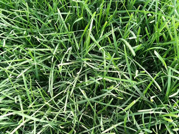 1627699878373796.jpg image.jpg