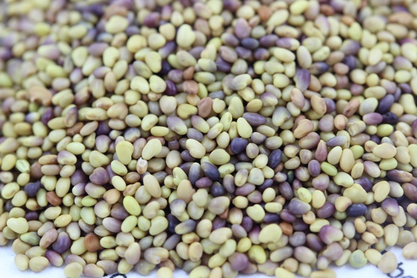 1627819213779521.jpg image.jpg