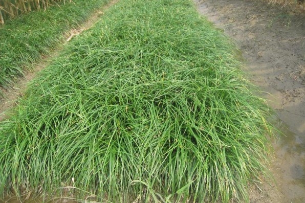 1627821429669999.jpg image.jpg