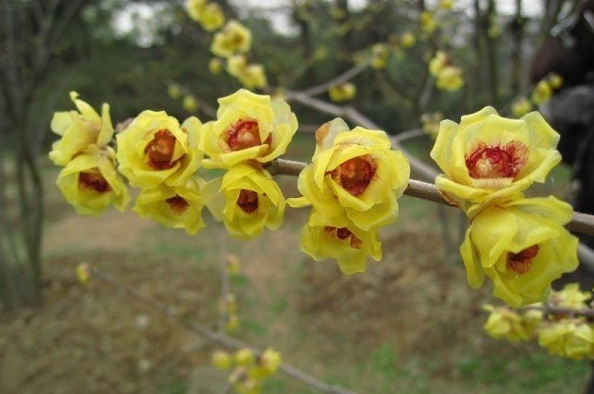 1627822892890989.jpg image.jpg