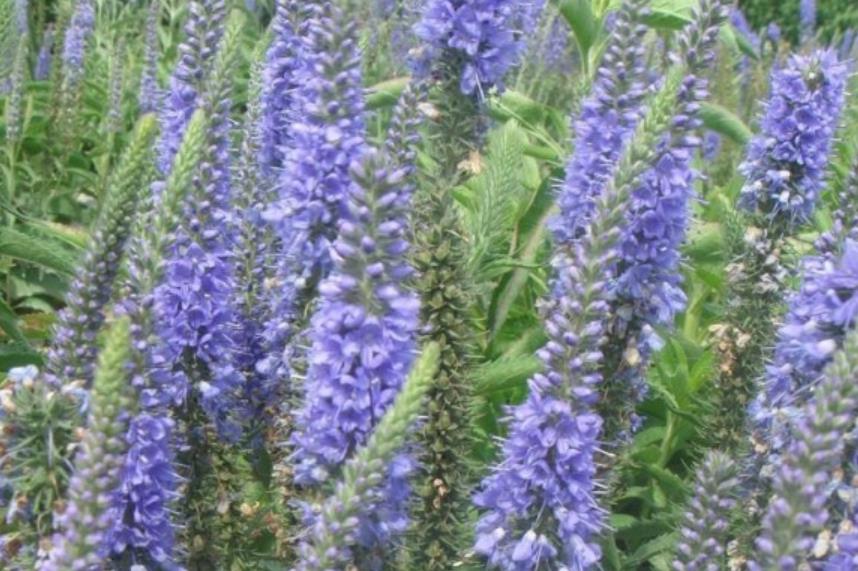 1627833056667669.jpg 360截圖20210801231736212.jpg