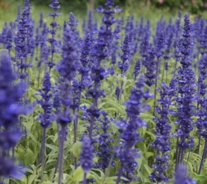 1627833079873874.jpg 360截圖20210801231720933.jpg