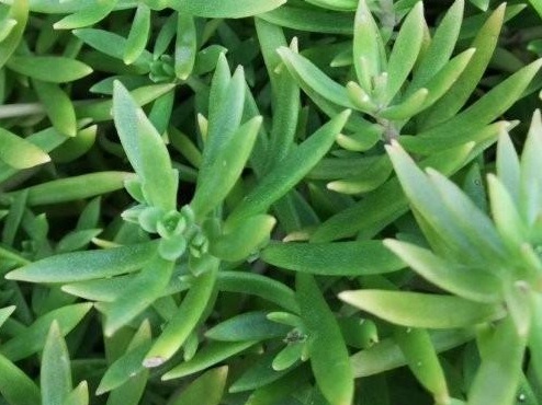 1627956335504249.jpg image.jpg