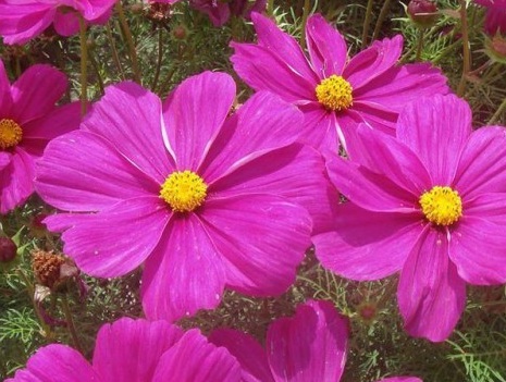 1627958440715777.jpg image.jpg