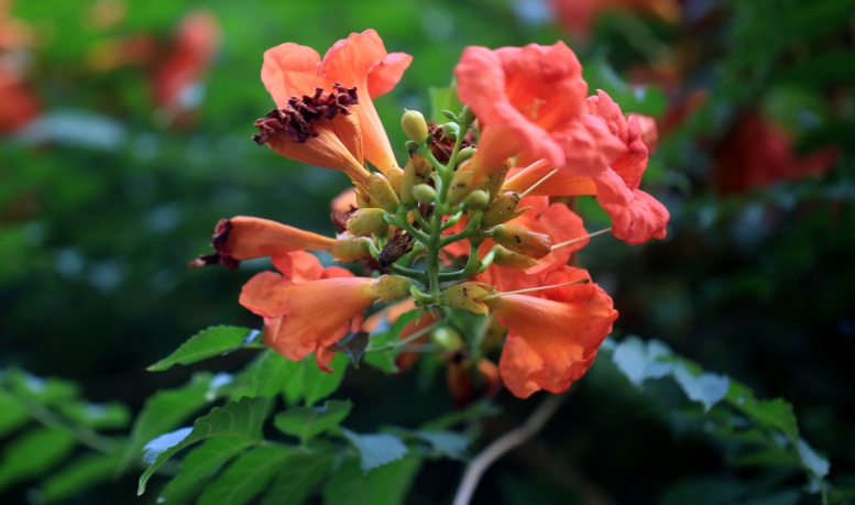 1627976569559467.jpg 2.jpg