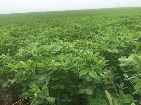 1627985099647118.jpg image.jpg