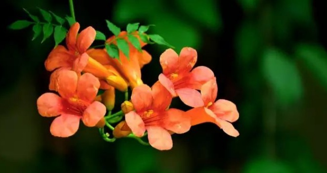 1627985989577016.jpg image.jpg