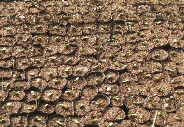 1627993101852213.jpg image.jpg