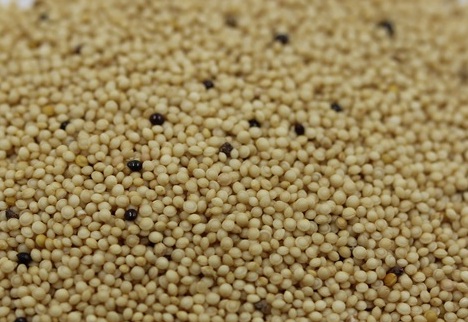 1628083903523761.jpg image.jpg