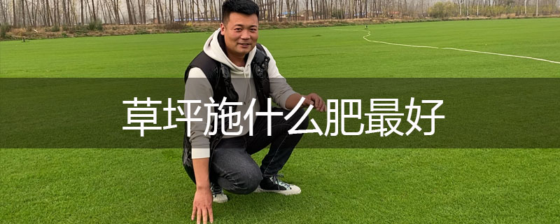 草坪施什么肥最好