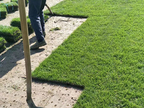 1628221838398044.jpg image.jpg