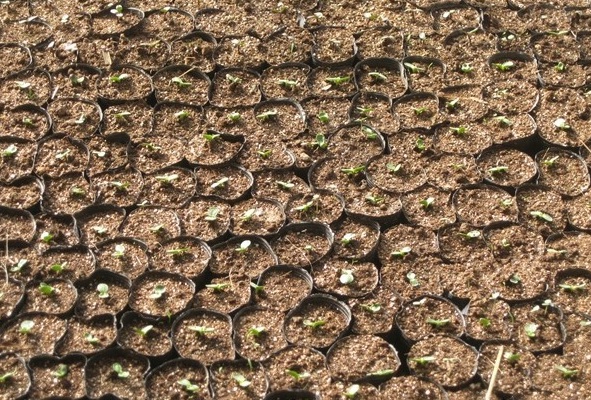 1628225483738839.jpg image.jpg