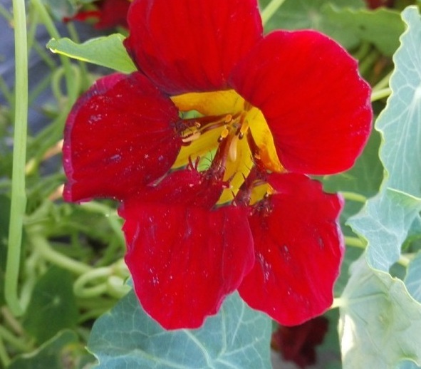 1628241523969275.jpg image.jpg