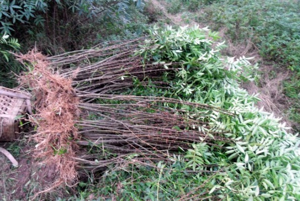 1628245764519658.jpg image.jpg