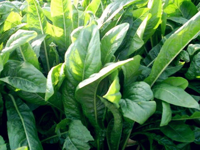 1628247064428352.jpg image.jpg