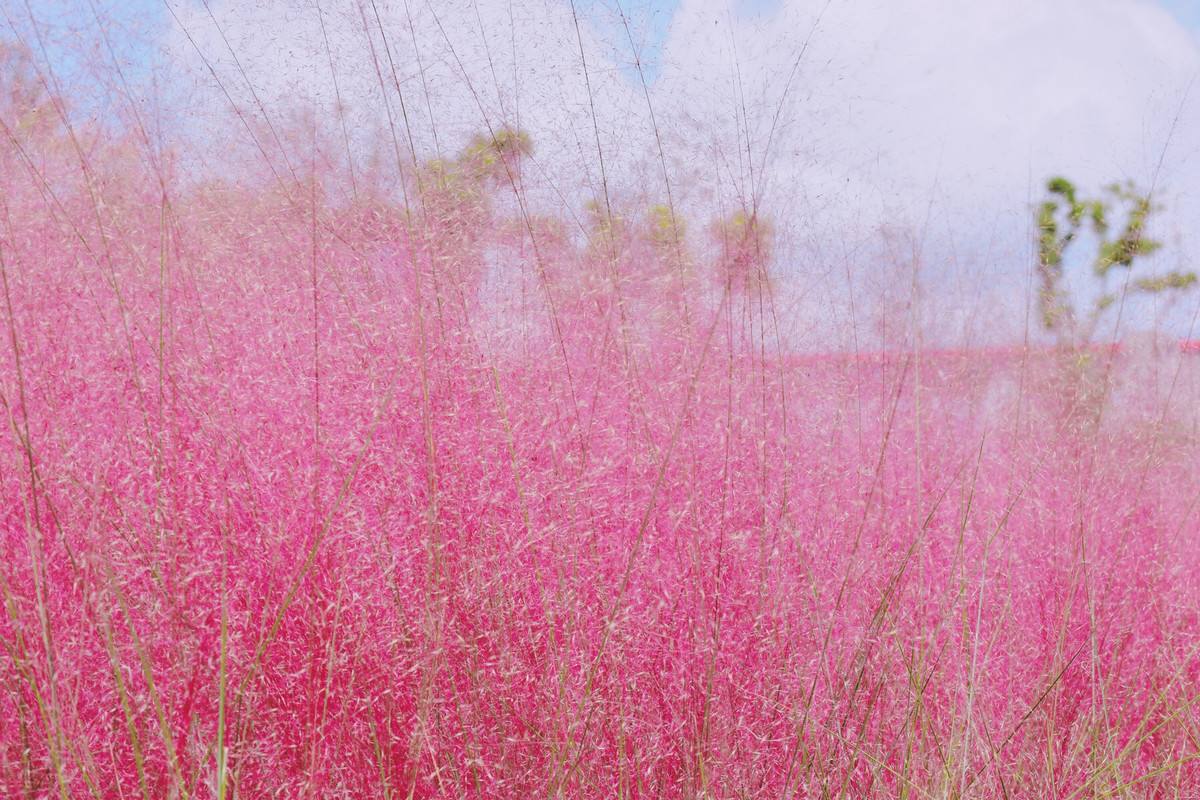 1628247726605798.jpg 1628247726605798.jpg