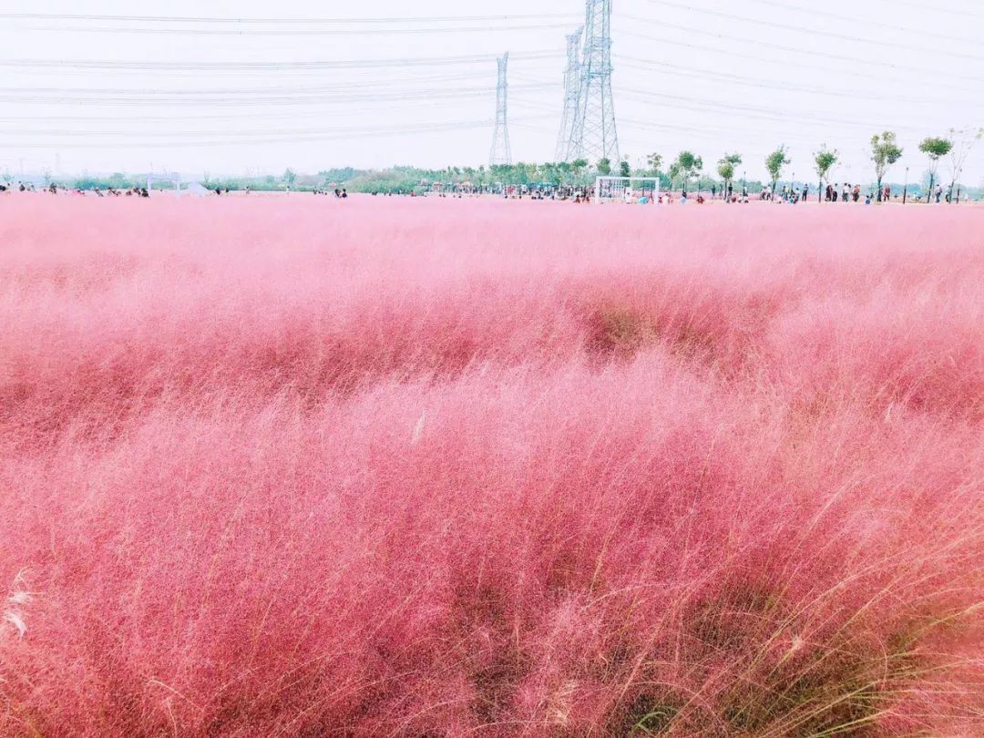 1628247798944037.jpeg 1628247798944037.jpeg