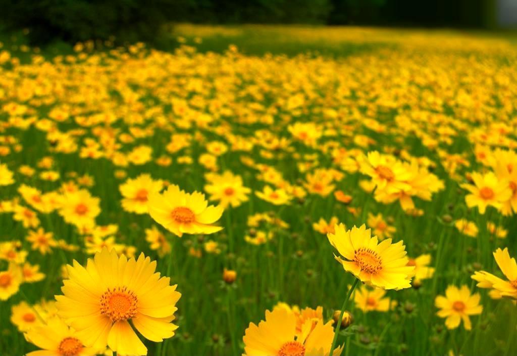 1628248238787505.jpg 1628248238787505.jpg