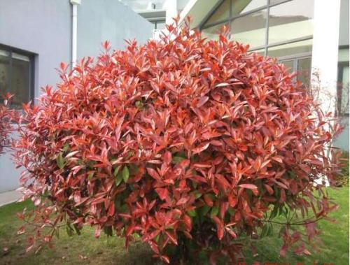 1628249617890413.jpg 1628249617890413.jpg