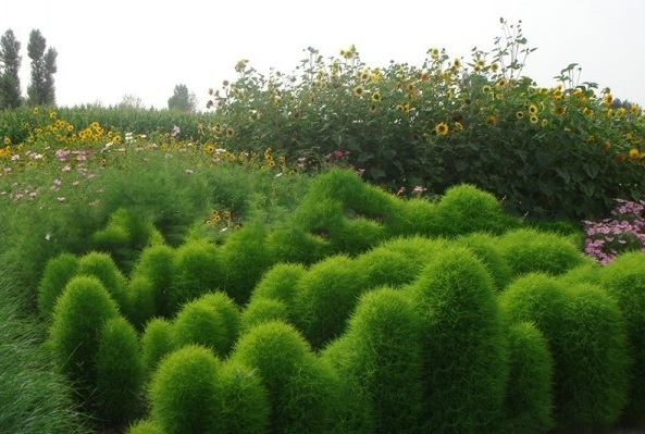 1628253583339072.jpg image.jpg