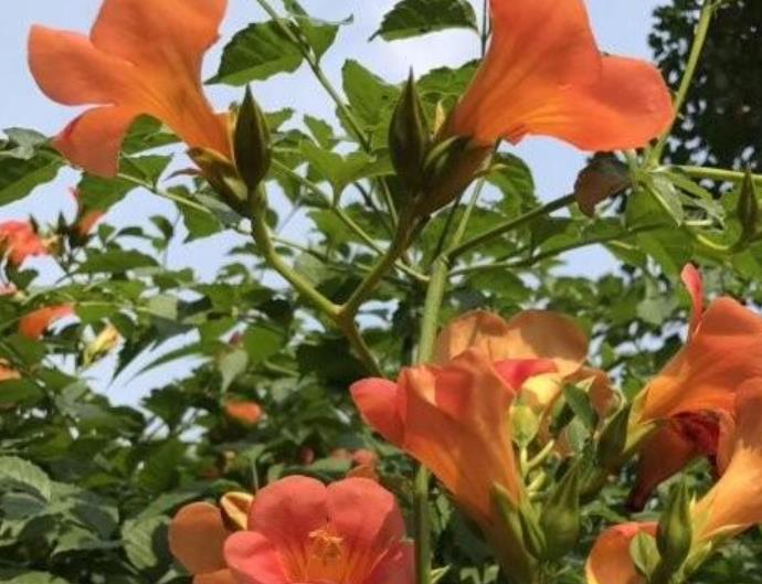 1628253742871208.jpg 360截圖20210806204037721.jpg