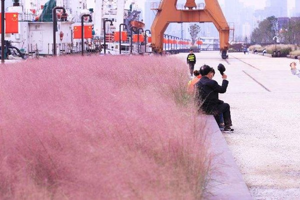 1628253810171002.jpg image.jpg