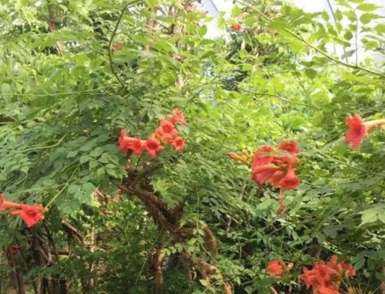 1628254077585250.jpg 360截圖20210806204053036.jpg