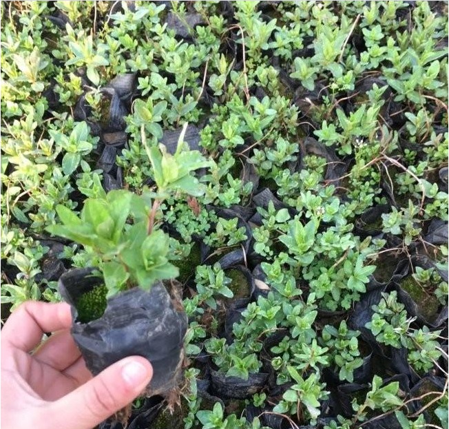 1628344641730026.jpg B{K%39T183}YR[XNXK~BM77.jpg