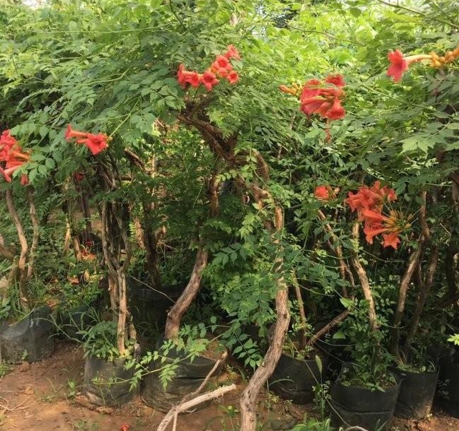 1628345503676191.jpg [BMA1MX$8W3FZTFA}}0HPE1.jpg