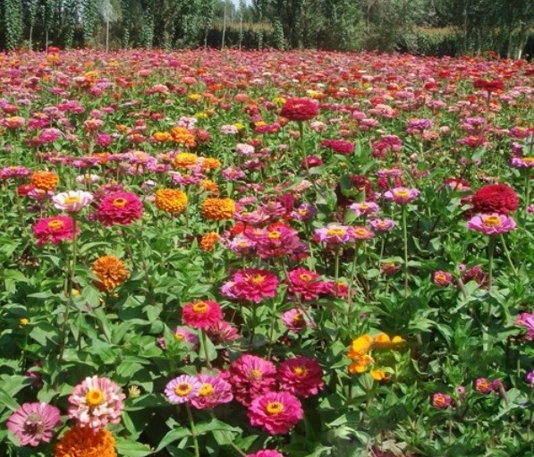 1628384414511320.jpg (PR$Q@I~1NMNWMXB{4~(D`S.jpg