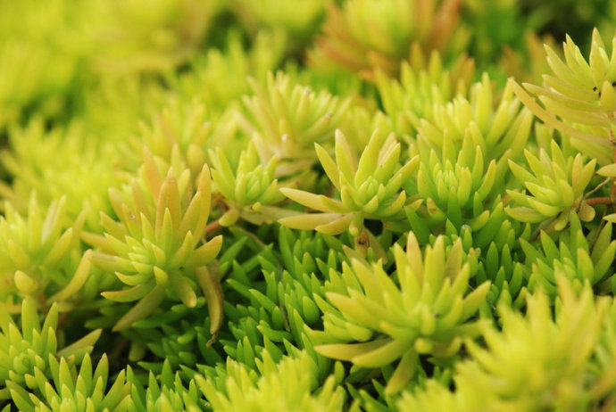 1628406046592785.jpg 1628406046592785.jpg