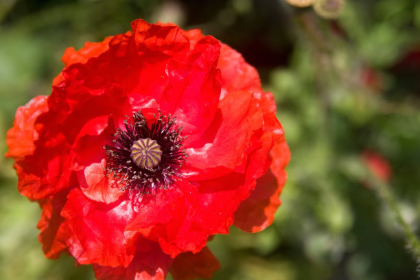 1628409160572699.jpg 1628409160572699.jpg