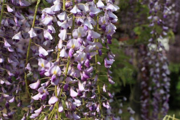 1628410133380656.jpg 1628410133380656.jpg