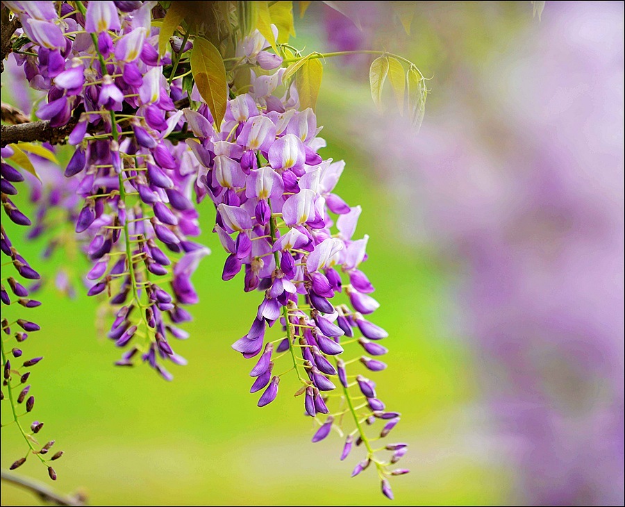 1628410157321095.jpg 1628410157321095.jpg