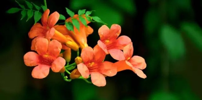 1628423081848759.jpg 1628423076(1).jpg