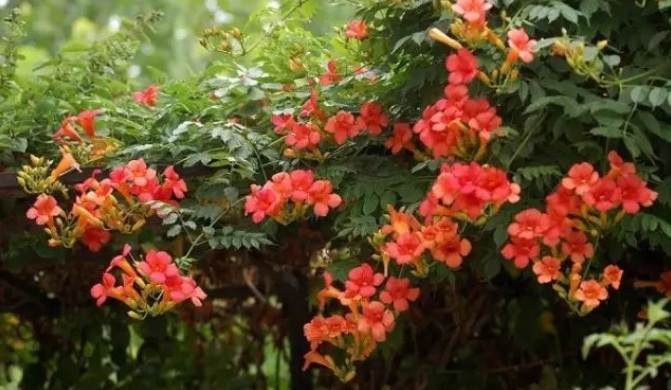 1628423111449853.jpg 1628423102(1).jpg