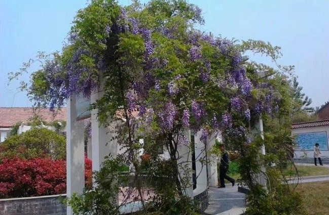 1628423490210801.jpg 1628423481(1).jpg