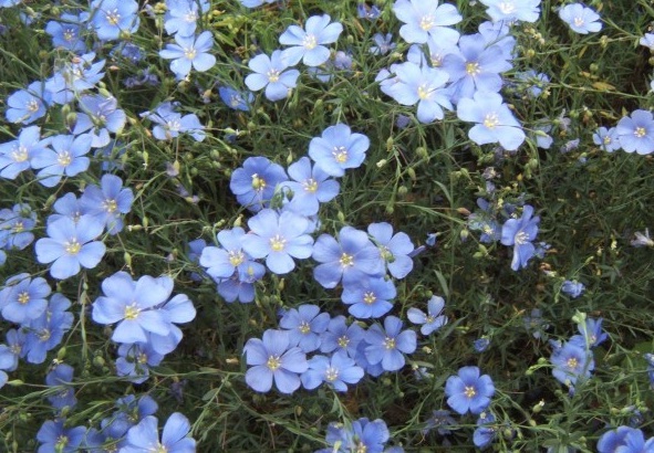 1628424084944415.jpg 1628424075(1).jpg