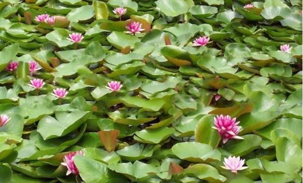 1628428430270419.jpg 1628428410.jpg