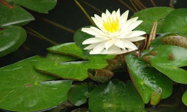 1628428476116624.jpg 1628428451(1).jpg