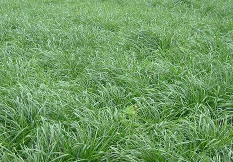 1628476351120589.jpg image.jpg