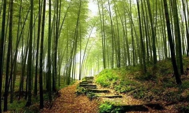 1628477796463488.jpg image.jpg